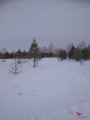 Баженово ул Южная д 7 в Алуште - alushta.yutvil.ru - фото 5