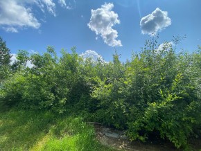 СПК Юбилейный, уч. 9 в Алуште - alushta.yutvil.ru - фото 15