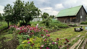 ул. 8-е Марта,46 в Алуште - alushta.yutvil.ru - фото 10 ул. 8-е Марта,46 в Алуште - alushta.yutvil.ru - фото 10